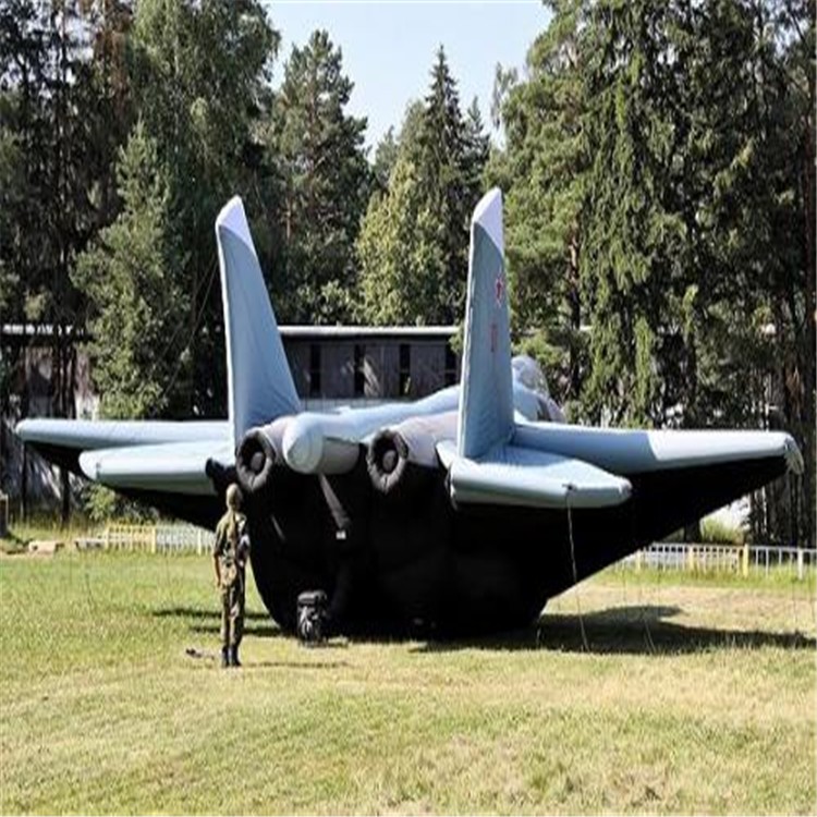 柳州充气飞机模型